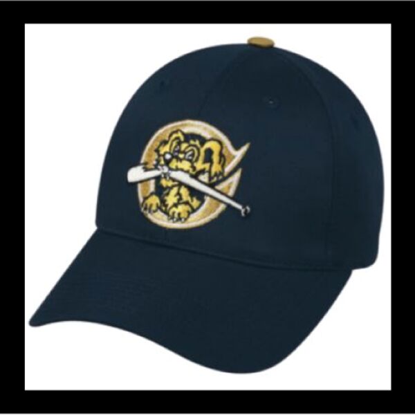 Charleston Riverdogs Thumbnail