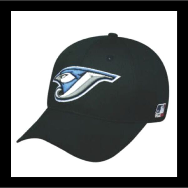 Toronto Blue Jays Thumbnail