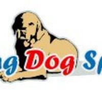 layingdogsports Thumbnail